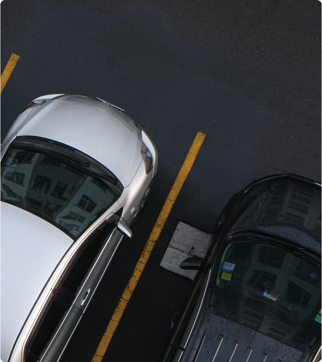 Insights & Reporting